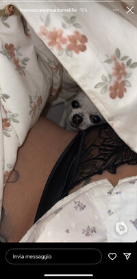 IMG_4496.jpeg