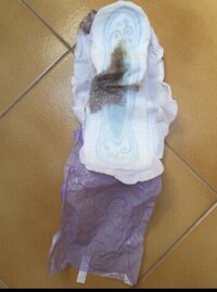 IMG_1891.jpeg