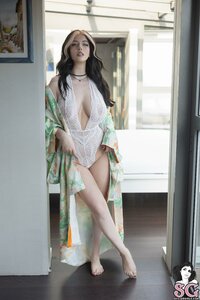 Silent_Velvet_01.jpg