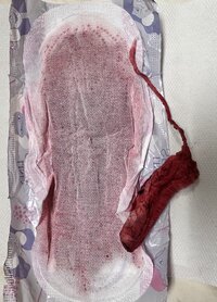 IMG_6821.jpeg