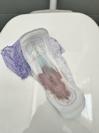 IMG_1293.jpeg