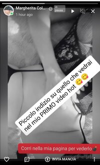 IMG_3381.jpeg