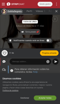 snapshot_es.stripchat.com_1736854410043.png