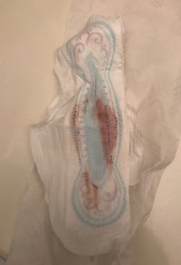IMG_4826.jpeg