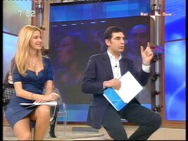 volpe4.JPG