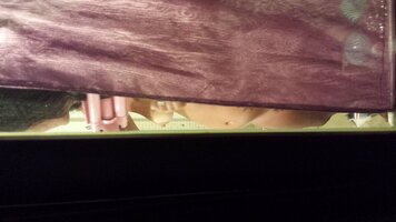 20160902_202645.jpg