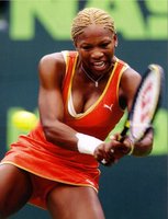 Upskirt - Serena Williams.jpg