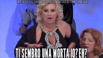 tumblr_ni0waoJISE1tqcg6no1_500.gif