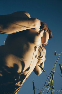 592671__NLC2434_jpg4bd95fab9c84a8d4df9398307a1d9830.jpeg