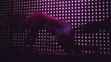 CelebsFlash.com_J_LO_GIFs__12_.gif