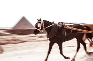 MarisaPapen_JesseWalker_InsearchofAncientEgypt_7.jpg