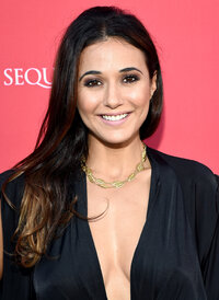 emmanuelle chriqui al gala 06.jpg