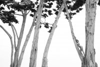 180519_Angels_Kendall_05_0032_BW-mIdJW00i.jpg