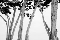180519_Angels_Kendall_05_0032_v1_BW-8658Y9ac.jpg