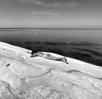 D3A36850-A98D-41A3-A97B-6D14C534B1DF.jpeg