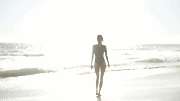 4877921278793194.gif