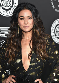 emmanuelle chriqui al gala 03.jpg