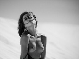 IMG_8453.jpeg