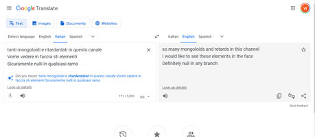 screenshot-translate.google.com-2023.07.29-15_55_23.jpg