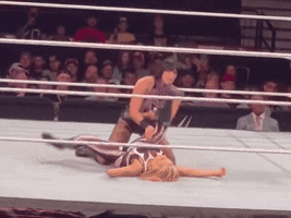 20230822_143402.gif